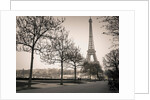 Pathway to Eiffel tower, Paris by Assaf Frank